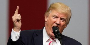 Το νέο βιβλίο έχει προκαλέσει την οργή του Ντόναλντ Τραμπ (Φωτογραφία: ΑΡ) 