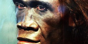 φωτογραφία: wikipedia 