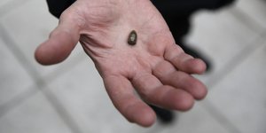 Φωτογραφία: Intimenews/ΛΙΑΚΟΣ ΓΙΑΝΝΗΣ