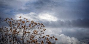 Φωτογραφία: Eurokinissi