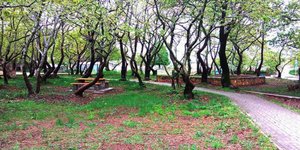 Φωτογραφία: Eurokinissi