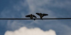 Ζέστη αλλά και βροχές -Στους 23 ο υδάργυρος /Φωτογραφία: Intime News 