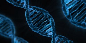 Φωτογραφία: pexels