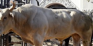 Φωτογραφία αρχείου: AP/ Chris Pizzello