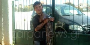 Φωτογραφία: zarpanews