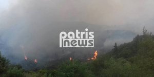 Φωτογραφία:patrastimes.gr