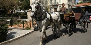Φωτογραφίες: Intimenews/ΛΙΑΚΟΣ ΓΙΑΝΝΗΣ