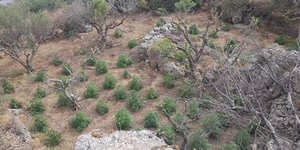 Φωτογραφία: astynomia.gr