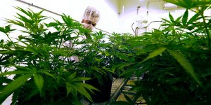 Φωτογραφία αρχείου: ΑΡ