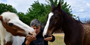 Η μικρή φάρμα αλόγων στην περιοχή Λευκάκια Ναυπλίου Φωτογραφία: ΑΠΕ-ΜΠΕ/ΜΠΟΥΓΙΩΤΗΣ ΕΥΑΓΓΕΛΟΣ