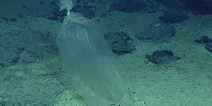 Φωτογραφία αρχείου: AP