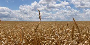 Φωτογραφία: AP Photo/Michael Conroy