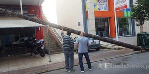 Επάνω σε διαμέισμα έπεσε μια κολώνα της ΔΕΗ. Φωτογραφία: flashnews