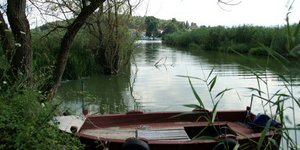 Πληροφορίες για τη ζωή γύρω από τη λίμνη δίνουν σκελετικά κατάλοιπα