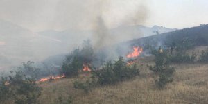 Φωτιά στην Λάρισα (Φωτογραφία: onlarissa)