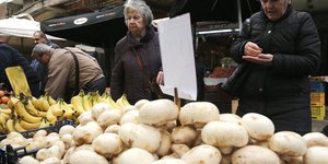 Μανιτάρια/ Φωτογραφία:INTIME NEWS