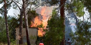 Μεγάλη πυρκαγιά ξέσπασε στην Πύλο -Φωτογραφία: Intimenews/Συνεργάτης