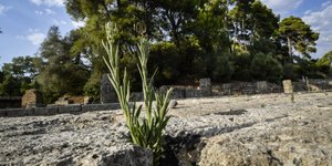 Ισως το παλαιότερο σωζόμενο γραπτό απόσπασμα των Ομηρικών Επών