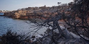 «Οι μετεωρολογικές συνθήκες έπαιξαν καθοριστικό ρόλο» ΦΩΤΟΓΡΑΦΙΑ: ΑΝΤΩΝΗΣ ΝΙΚΟΛΟΠΟΥΛΟΣ/EUROKINISSI