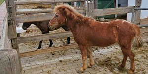 Μαθητές δημιούργησαν ντοκιμαντέρ-αφιέρωμα με τίτλο «Ζει»