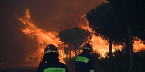 «Αν έμπαινε το Canadair
