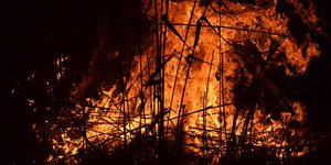 Φωτογραφία Eurokinissi