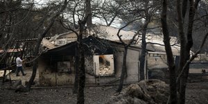Κατεστραμμένο από την πυρκαγιά στην Κινέτα/Φωτογραφία: Intimenews