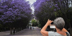 Φωτογραφία: Eurokinissi- ΜΠΟΛΑΡΗ ΤΑΤΙΑΝΑ