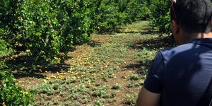 «Θα υπάρξει έγκαιρη ανακούφιση των πληγέντων»