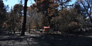 2.133 αιτήσεις από τους πυρόπληκτους (Φωτογραφία: EUROKINISSI/ ΜΙΧΑΛΗΣ ΚΑΡΑΓΙΑΝΝΗΣ)