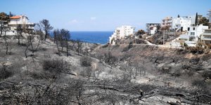 Έπιασαν... δουλειά στα καμένα τα «κοράκια των ακινήτων» / Φωτογραφία: Eurokinissi