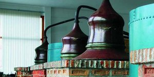 Εδώ διεξάγονται γευσιγνωσίες ούζου και οπτικοακουστικές περιηγήσεις στα ελληνικά και τα αγγλικά