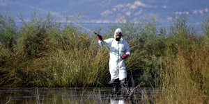 Ψεκασμοί κουνουπιών (Φωτογραφία: Eurokinissi-ΠΑΠΑΔΟΠΟΥΛΟΣ ΒΑΣΙΛΗΣ)