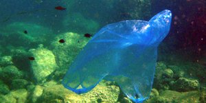 πλαστική σακούλα/Φωτογραφία: Eurokinissi