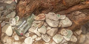 Ενα αιωνόβιο πεύκο πάνω στην παραλία Βρίκα