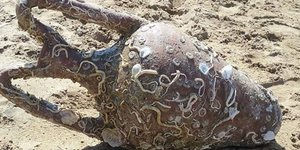 Αμφορεάς βρέθηκε σε παραλία της Κρήτης/ Φωτογραφία: neakriti.gr 