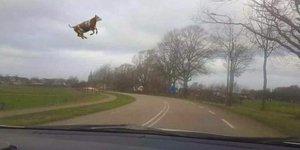 Ο «Ξενοφών» στο Twitter/ Φωτογραφία: Twitter