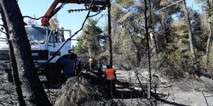 Κήρυξη περιοχών του Δήμου Σιθωνίας