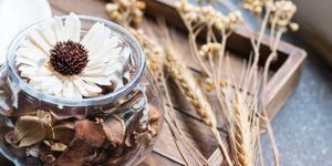 Αποξηραμένα λουλούδια (Φωτογραφία: Shutterstock)