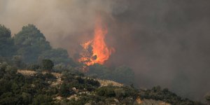 Πυρκαγιά στη Χαλκιδική/Φωτογραφία: Eurokinissi