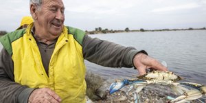 Ψαρεύοντας καβούρια στην λιμνοθάλασσα Καλοχωρίου / Φωτογραφία: MOTIONTEAM/ΒΑΣΙΗΣ ΒΕΡΒΕΡΙΔΗΣ
