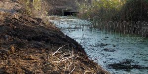 Το σημείο που βρέθηκε το κρανίο στην Πρέβεζα/ Φωτογραφία:pamepreveza.gr 