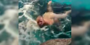 Η δεξαμενή φιλοξενεί 14 καρχαρίες διαφόρων ειδών (Φωτογραφία: YouTube)