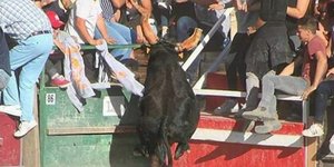 O ταύρος πήδηξε πάνω από τον προστατευτικό φράχτη και επιτέθηκε στη γυναίκα / Φωτογραφία: Instagram