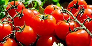 Διεύθυνση Αγροτικής Οικονομίας Πειραιά