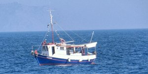 Νεκρός ψαράς