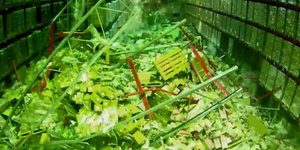 Ράφια κατέρρευσαν σε αποθήκη/ Φωτογραφία: Facebook