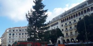 χριστουγεννιάτικο έλατο/Φωτογραφία: Thestival.gr