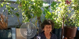 Ουρανία Γερολύμου