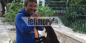 Ο 6 μηνών Κέτσα που έχει «τρελάνει» τον κόσμο στο Παλαιό Φάληρο
